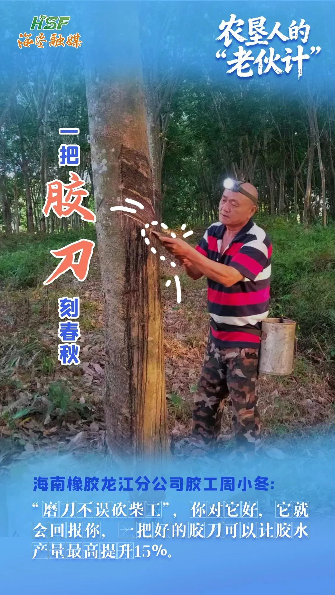 一把膠刀刻春秋